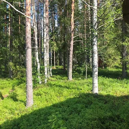 Chalet Oikea Vanhanajan Mokki Koskimaisema, 1,5 H Oulusta Pudasjarvi